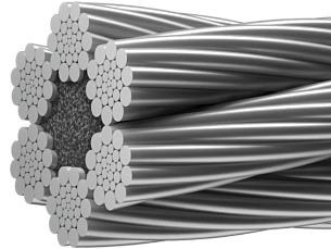 Octopus 6 (6-    -  71915393- 068-2008). : 626 + 1 .., 626 + 77